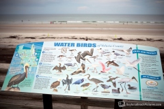 daytona_beach_20140613_161640_0932