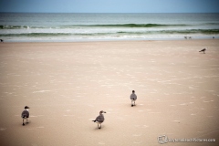 daytona_beach_20140613_162230_0940